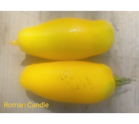 Roman Candle, salad, 15 seeds
