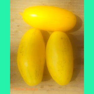 Yellow Banana, salad, 15 seeds
