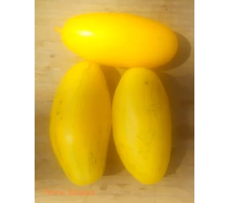 Yellow Banana, salad, 15 seeds