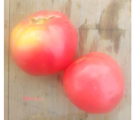 Mexico, salad/beefstake, 15 seeds