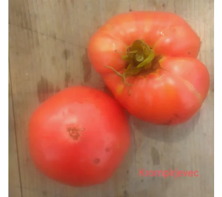 Krompirjevec (Potato Leaf), salad, 15 seeds