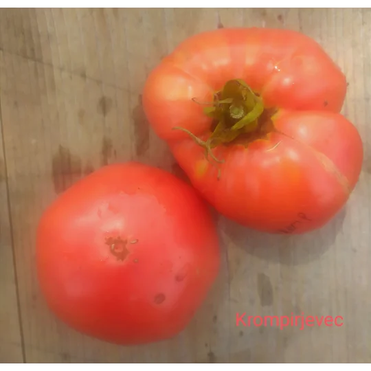 Krompirjevec (Potato Leaf), salad, 15 seeds