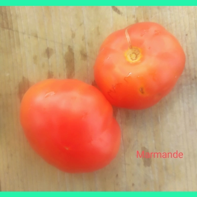 Marmande, beefstake, 15 seeds