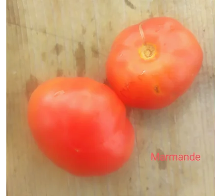 Marmande, beefstake, 15 seeds