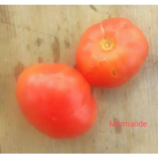Marmande, beefstake, 15 seeds