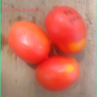 Britain's Breakfast, salad, 15 seeds