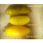 Roman Candle, salad, 15 seeds