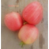 Breskvica (Little Peach), soft paste, 15 seeds