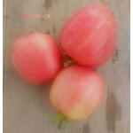 Breskvica (Little Peach), soft paste, 15 seeds