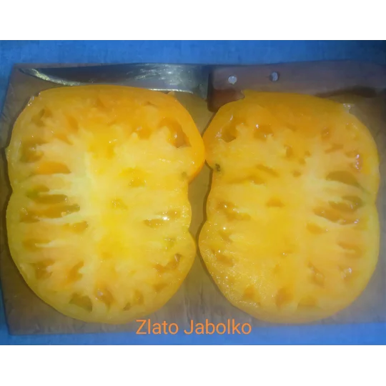 Zlato jabolko (Golden apple), beefstake, Diversiflora's variety, 15 seeds