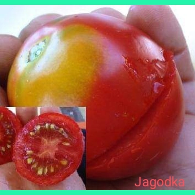 Jagodka (Little Strawberry), cherry/salad, 15 seeds