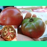 Amazon Chocolate, salad, 15 seeds