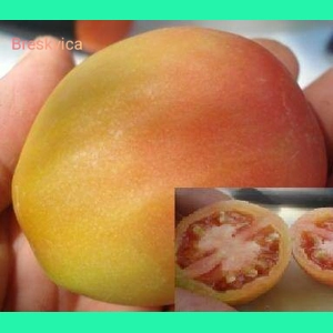 Breskvica (Little Peach), soft paste, 15 seeds
