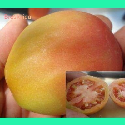 Breskvica (Little Peach), soft paste, 15 seeds