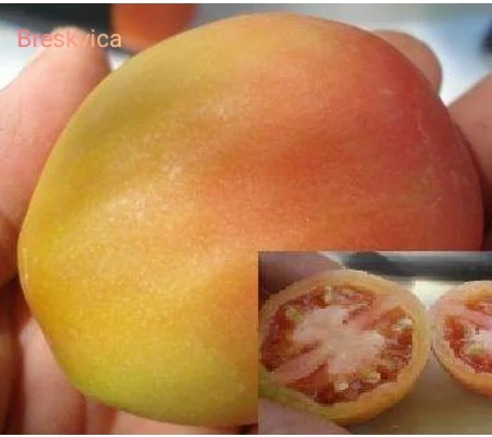Breskvica (Little Peach), soft paste, 15 seeds