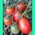 Maki, cherry, 15 seeds Maki, cherry, 15 seeds