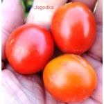Jagodka (Little Strawberry), cherry/salad, 15 seeds