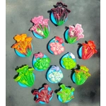 Pinguicula cyclosecta Fridge magnet