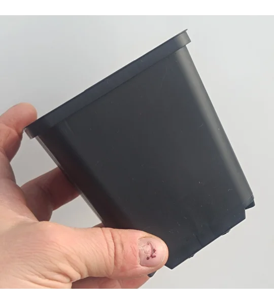 Square pot, 9x9x9,5 cm, plastic, black