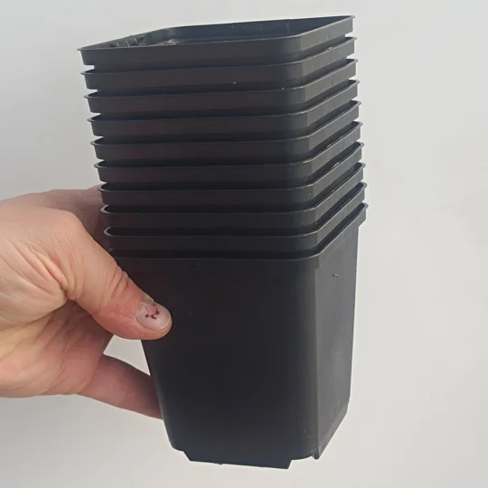Square pot, 9x9x9,5 cm, plastic, black