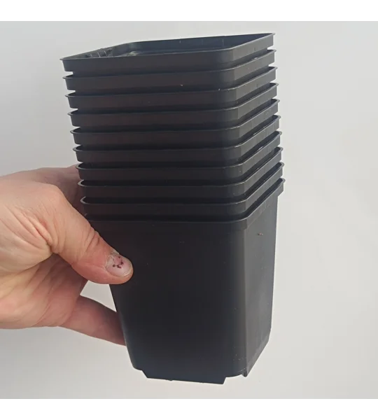 Square pot, 9x9x9,5 cm, plastic, black