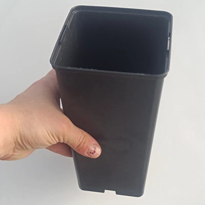 Square pot, 11,5x11,5x21,5, plastic, black