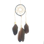 Dreamcatcher, black duck, natural material