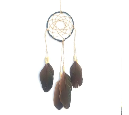 Dreamcatcher, black duck, natural material