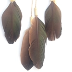 Dreamcatcher, black duck, natural material