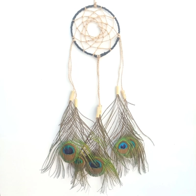 Dreamcatcher, peacock, natural materials