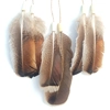 Dreamcatcher, turkey wing, natural material