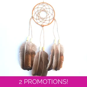 Dreamcatcher, turkey wing, n..