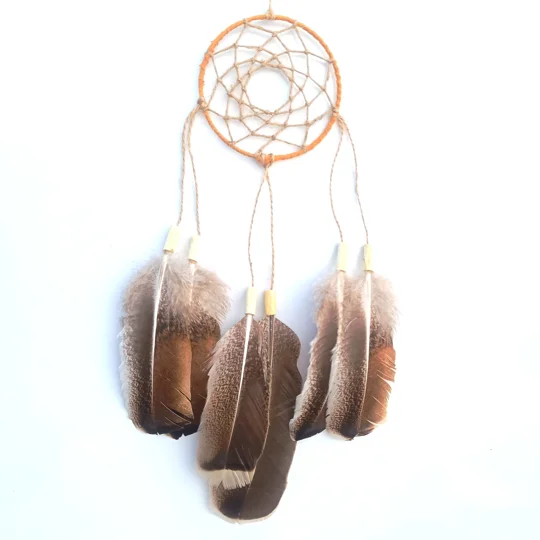Dreamcatcher, turkey wing, natural material