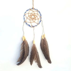 Dreamcatcher, guineafow..