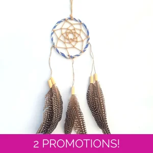Dreamcatcher, guineafowl, na..