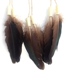 Dreamcatcher, peacock black wing, natural materials