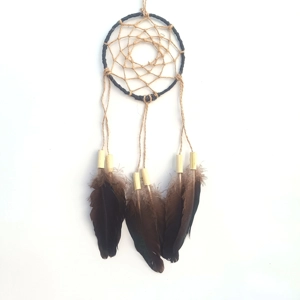 Dreamcatcher, peacock black wing, natural materials