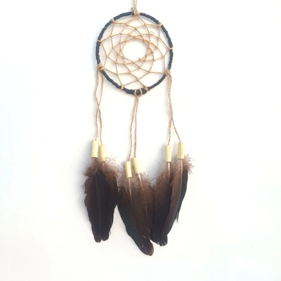 Dreamcatcher, peacock black wing, natural materials