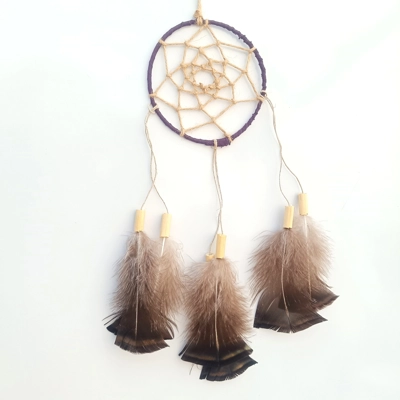 Dreamcatcher, turkey chest, natural materials