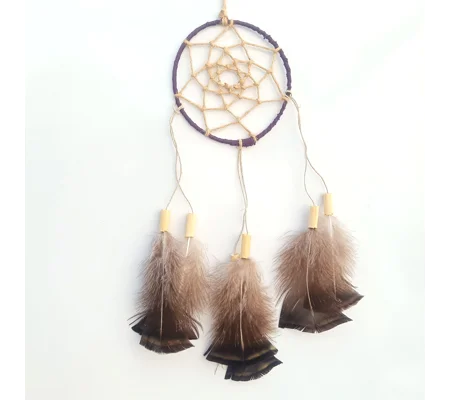 Dreamcatcher, turkey chest, natural materials