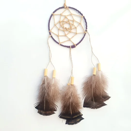 Dreamcatcher, turkey chest, natural materials