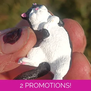 Dreaming cat magnet, black a..