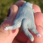 Sleeping cat magnet, russian blue