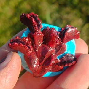 Dionaea Red Fridge magnet