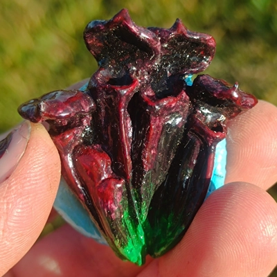 Sarracenia Black Fridge magnet