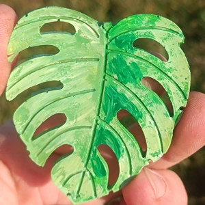 Monstera Variegated Fridge magnet