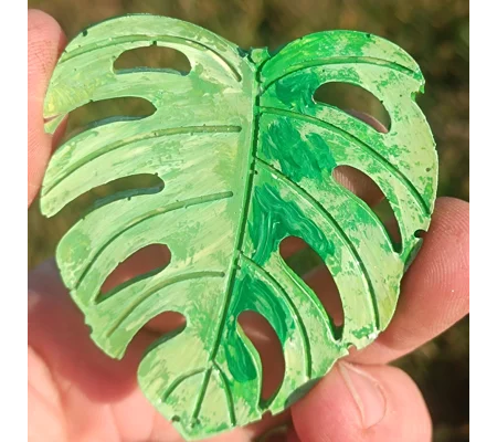 Monstera Variegated Fridge magnet