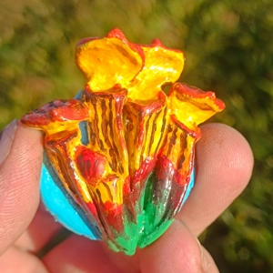 Sarracenia flava ornata Frid..