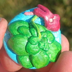 Pinguicula moranensis Fridge..