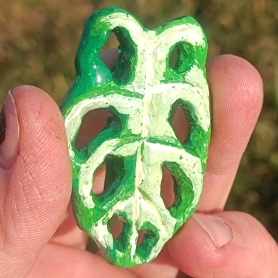 Monstera adansonii Variegata Fridge magnet